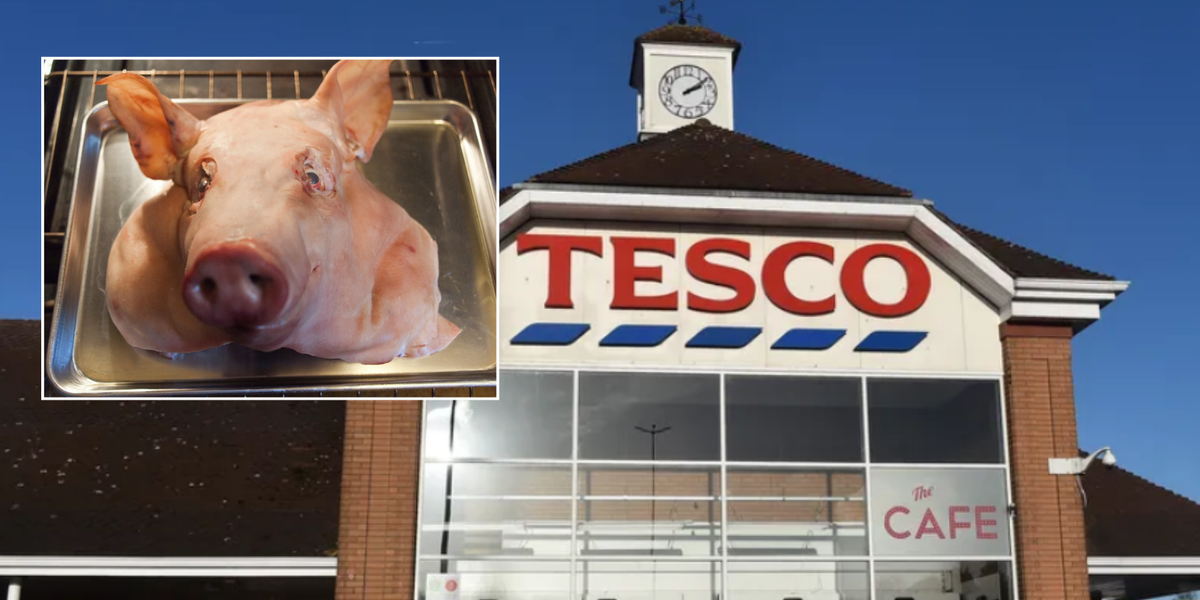 NextImg:Tesco customer horrified after discovering pig's head dumped outside store