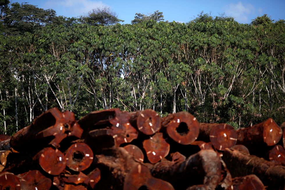 Piles of legal wood are seen in a wood company warehouse in the Amazon rainforest, inside Jamari National Forest Park in the County of Itapua do Oeste, Rondonia state, Brazil, September 28, 2021. Picture taken September 28, 2021. REUTERS/Adriano Machado