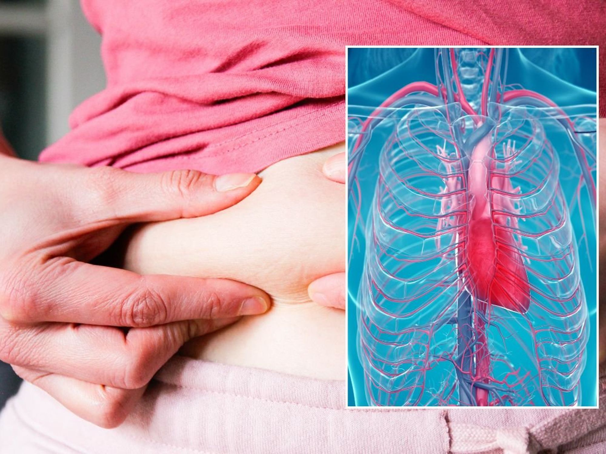 PINCHING FAT AND CORONARY SYSTEM ILLUSTRAION