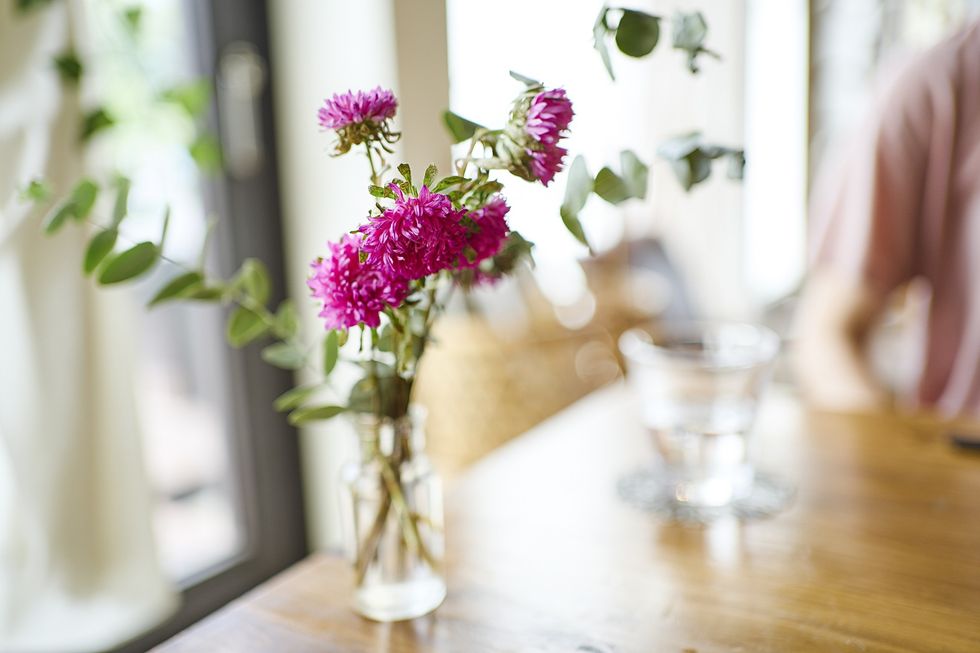Pink asters in a vase