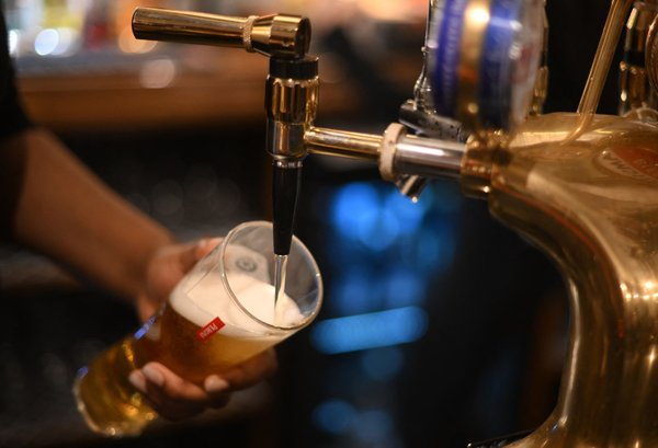 Pint being pulled