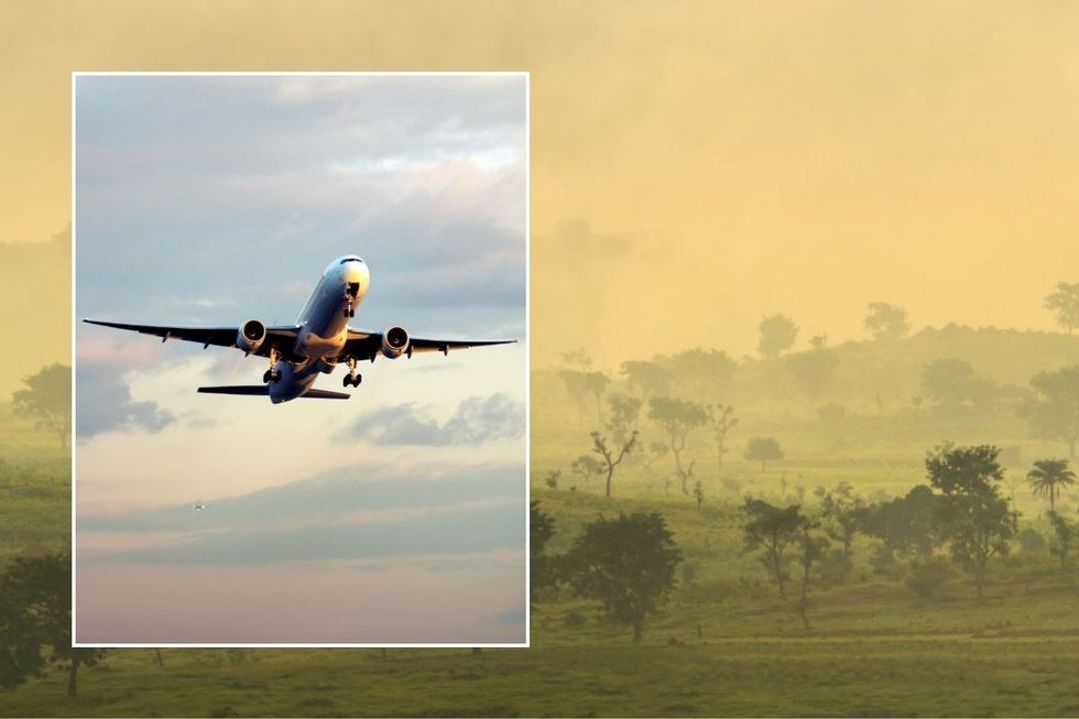 plane and nigeria stocks