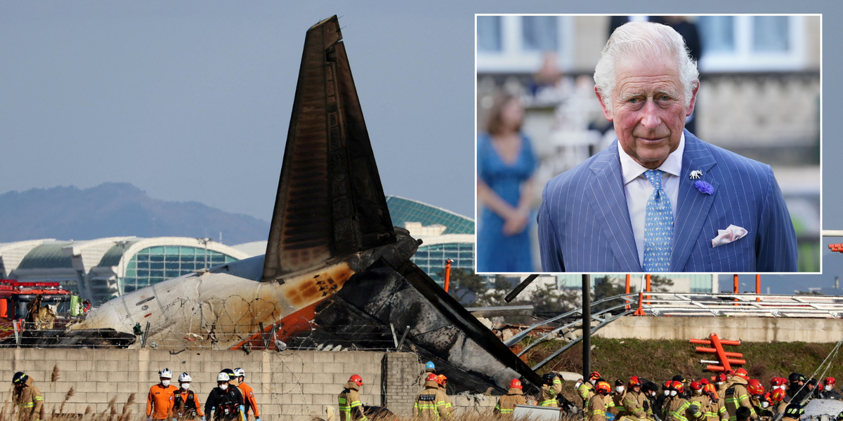 NextImg:King Charles pays tribute to victims of South Korea plane crash that took the lives of 179 people