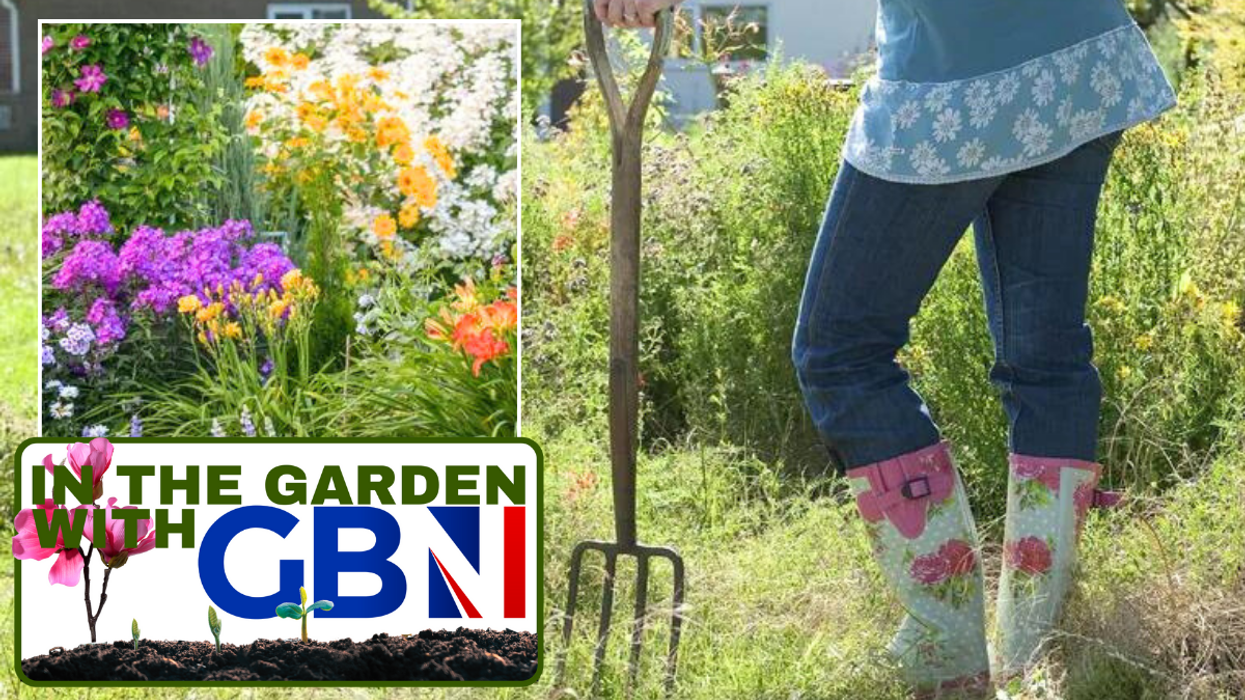 Plants in garden / people with shovel in garden