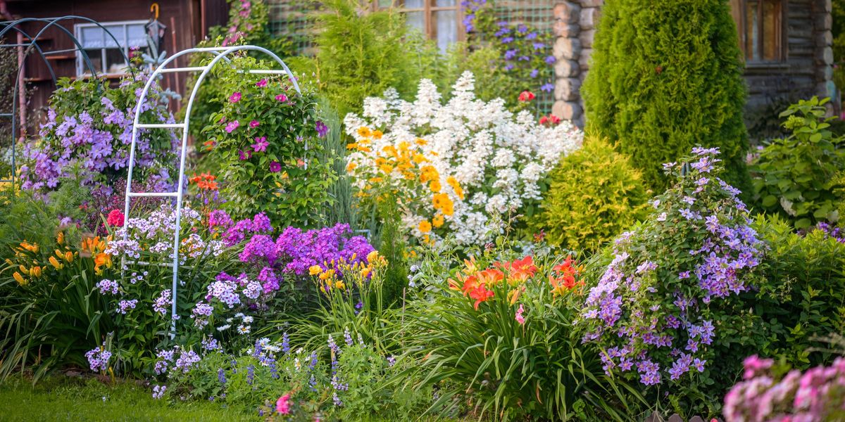 Council to pay for new plants after worker chops down 30,000 bulbs in park Council to pay for new plants after worker chops down 30,000 bulbs in park