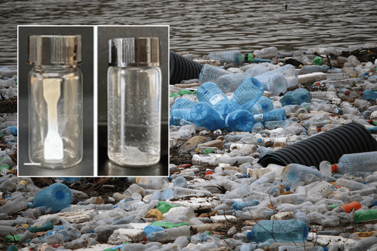 Plastics in the ocean