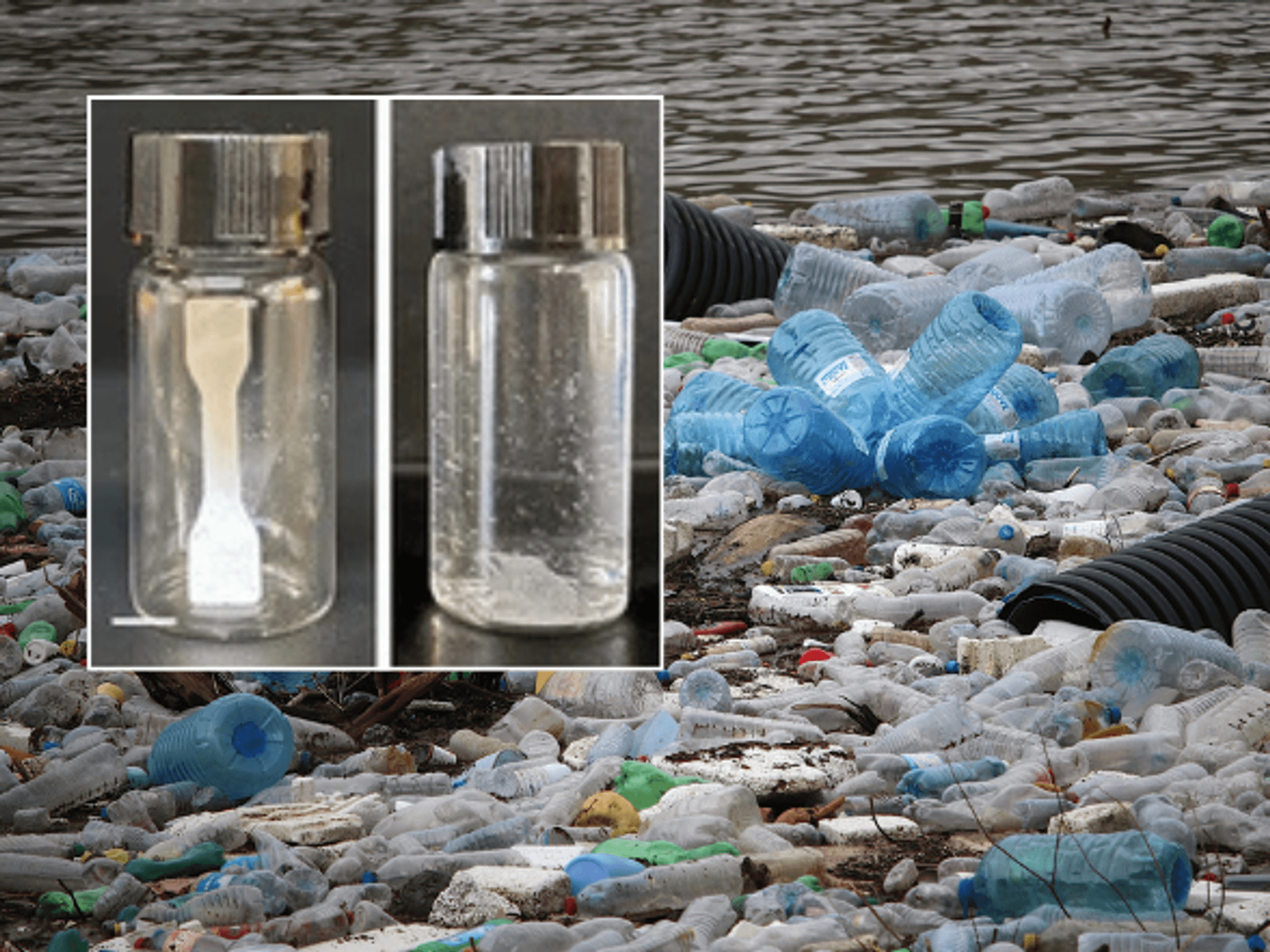 Plastics in the ocean