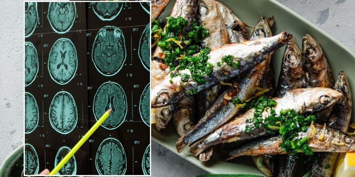 Up to 76% of global population lacks ‘essential’ nutrient that protects brain from Alzheimer’s Up to 76% of global population lacks ‘essential’ nutrient that protects brain from Alzheimer’s