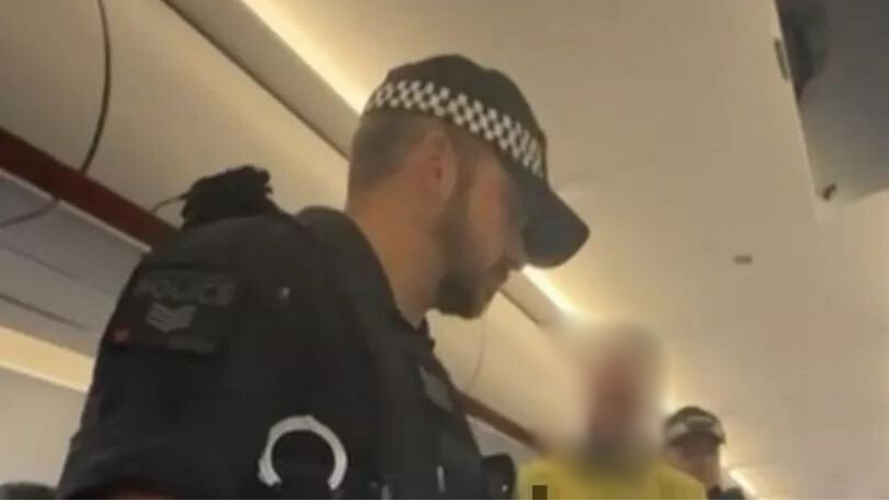 Police and passenger on flight