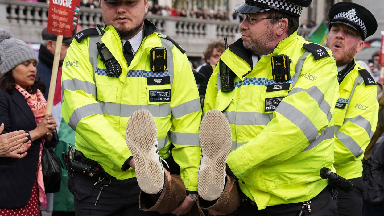 Police arrest protesters supporting Palestine Action