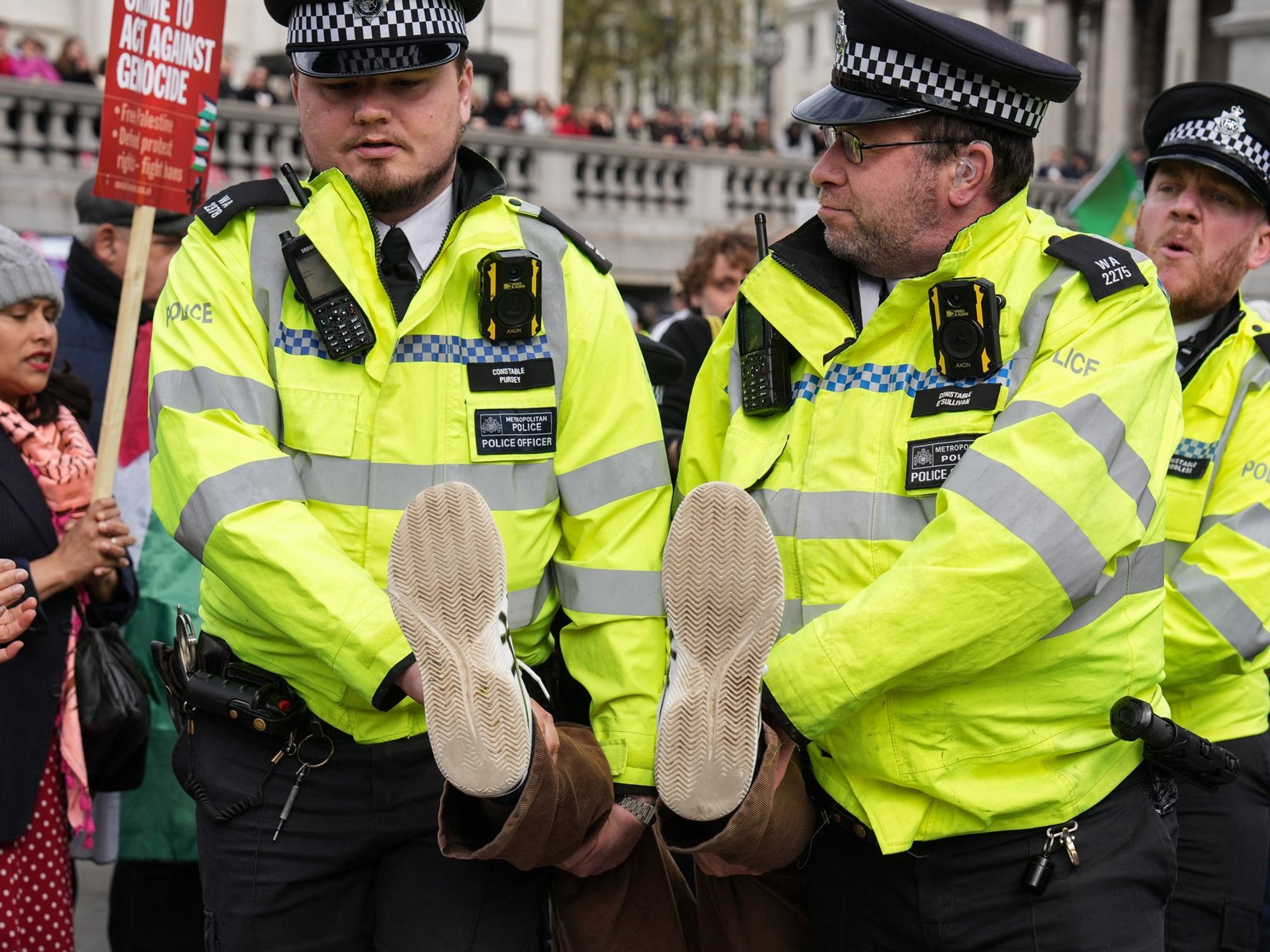 Police arrest protesters supporting Palestine Action