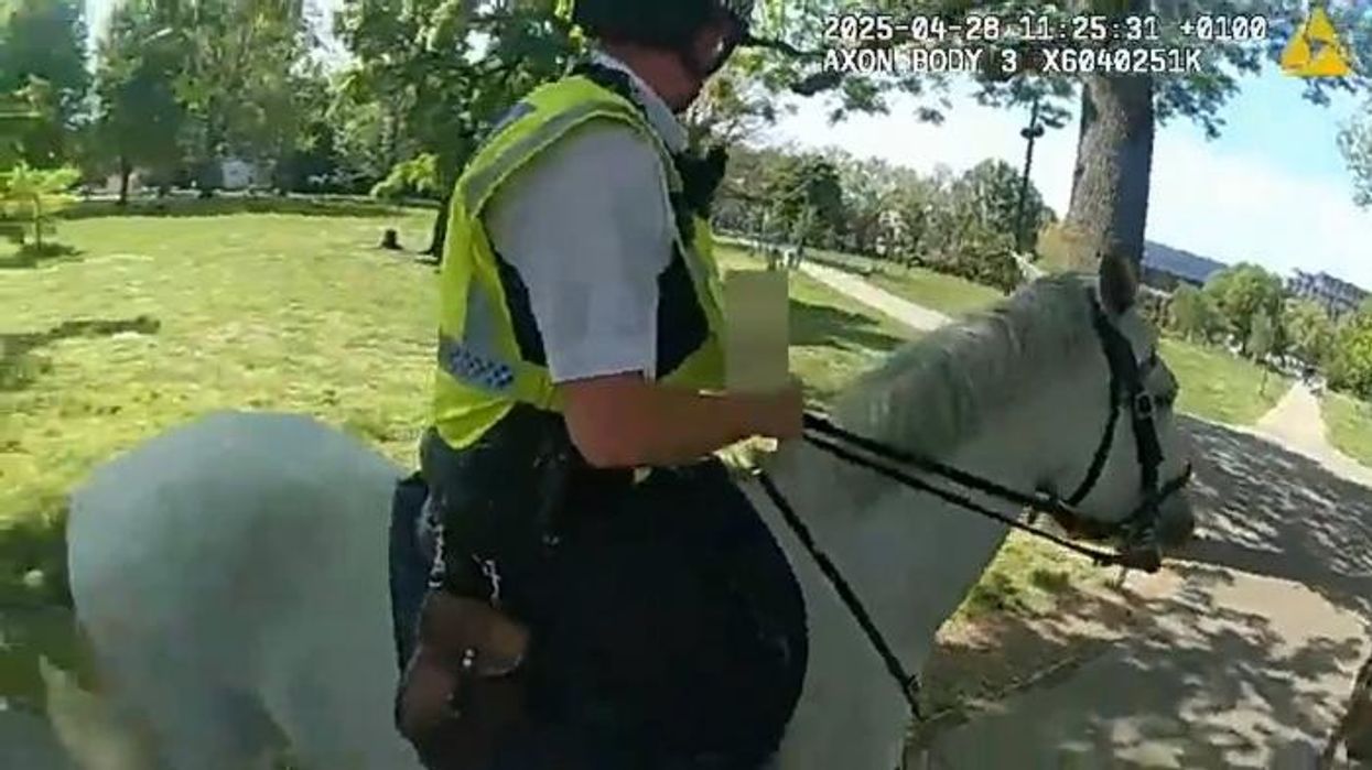 Met Police horses attacked as body-worn footage shows dog chasing and biting legs