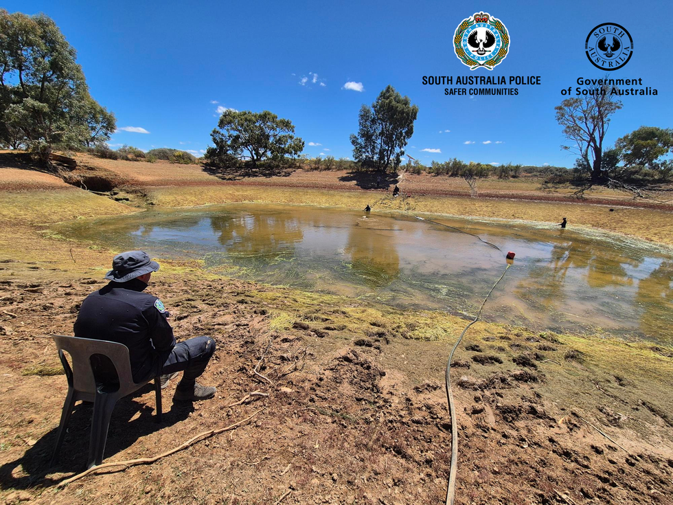 Police drain dam in search for Gus Lamont