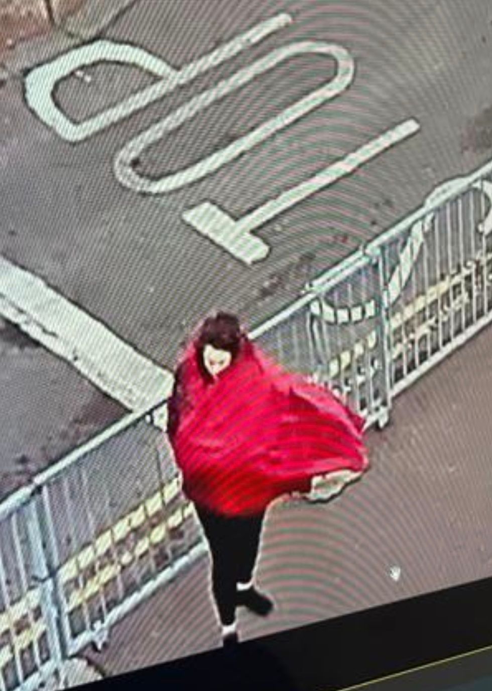 Police have released a CCTV image of a woman they believe is Constance Marten