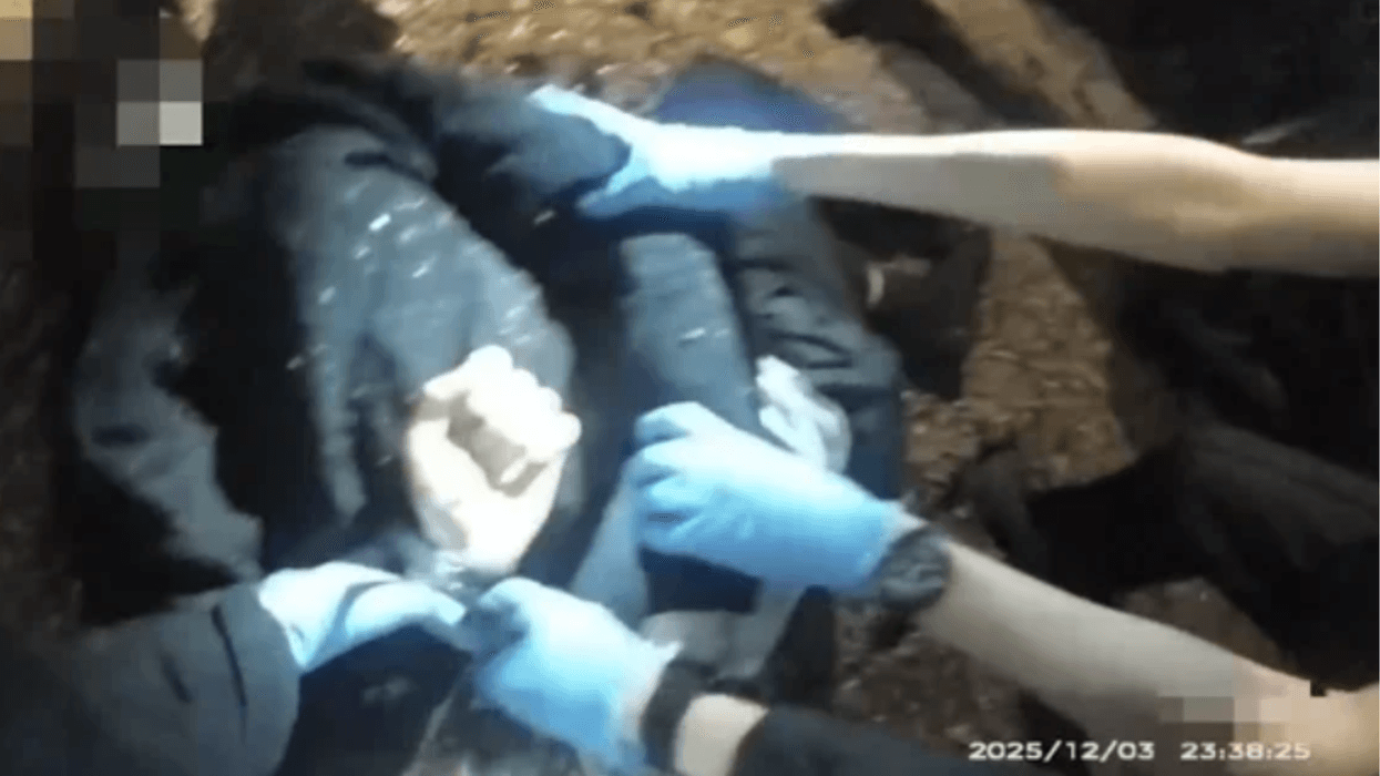 Police have released the moment Henry Nowak was arrested by Hampshire Police after being stabbed multiple times