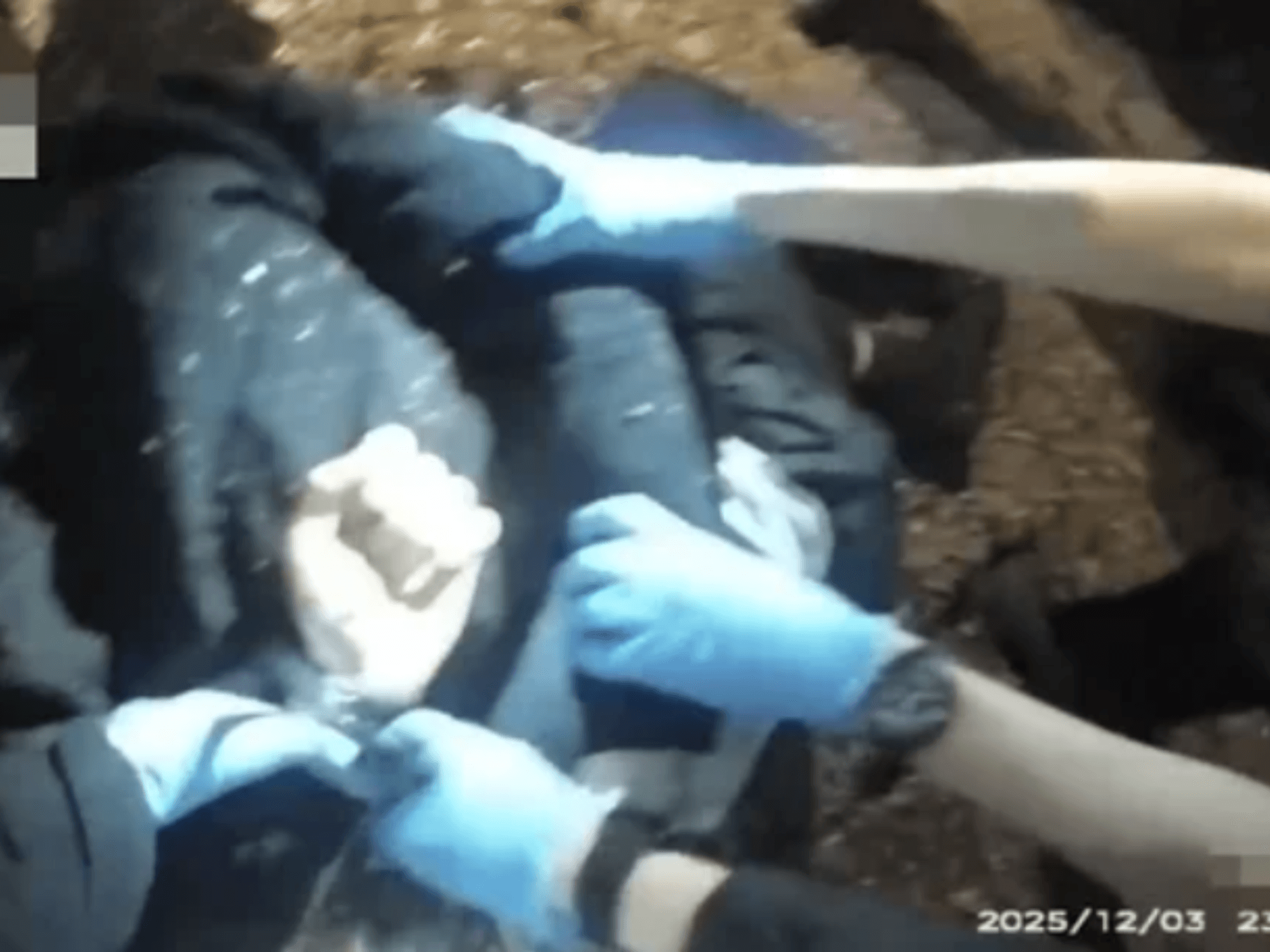 Police have released the moment Henry Nowak was arrested by Hampshire Police after being stabbed multiple times