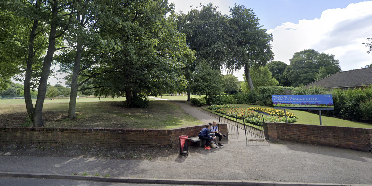 NextImg:Police launch urgent probe after 'human organs' discovered inside container in London park