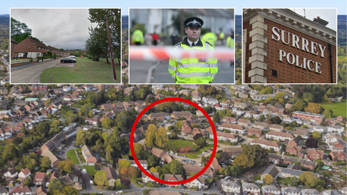 Police/Nursery Road/Surrey Police HQ