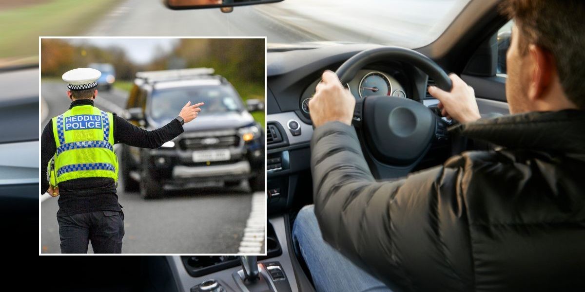 NextImg:Motorists face 'automatic lifetime bans' as major new driving plans gain widespread support
