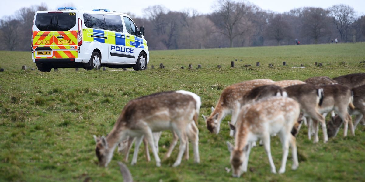 NextImg:Specialist police force disbanded after 150 years as Met move to plug £260m funding gap