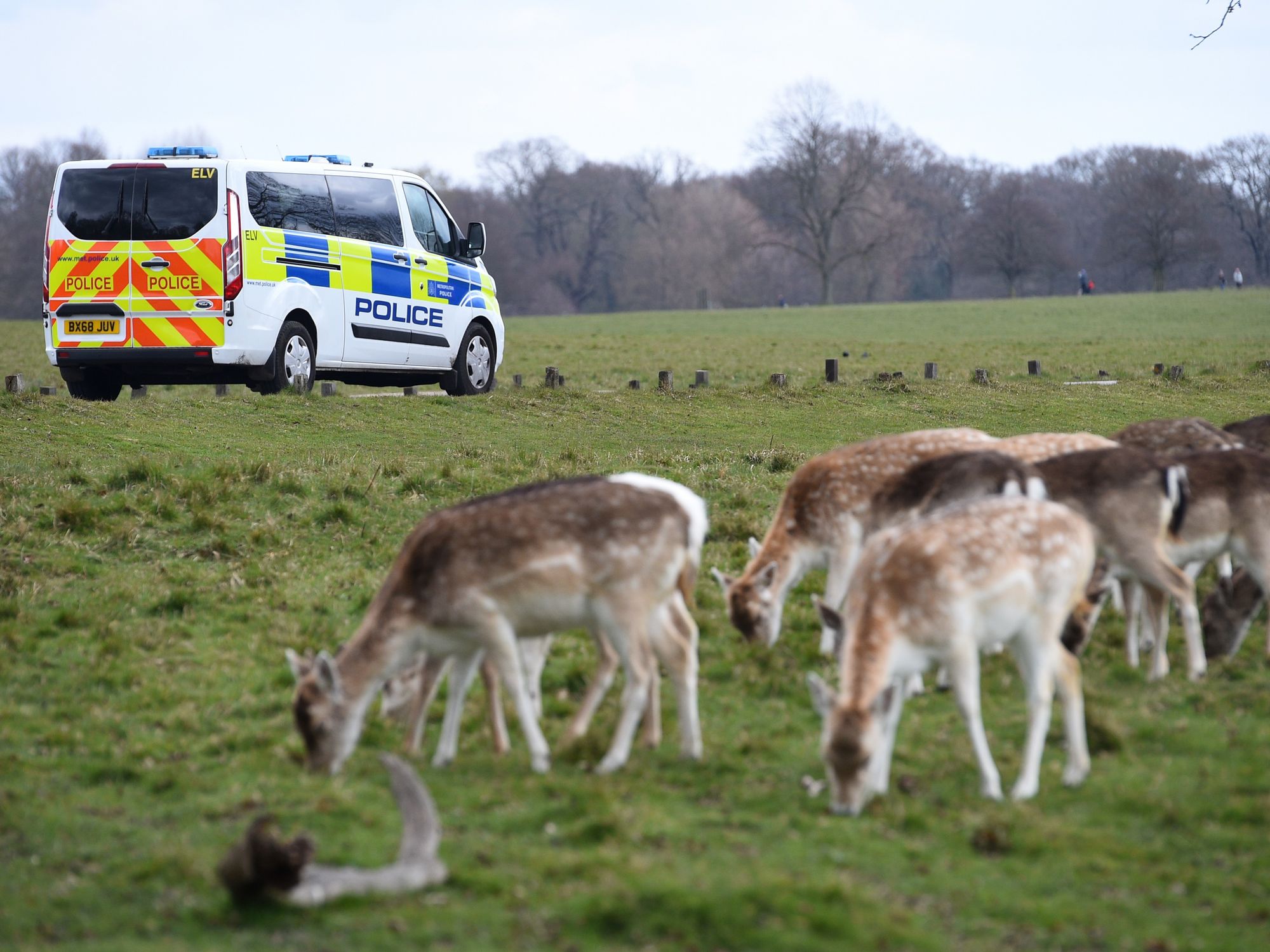 Police patrol Richmond Park, in Richmond upon Thames, southwest London