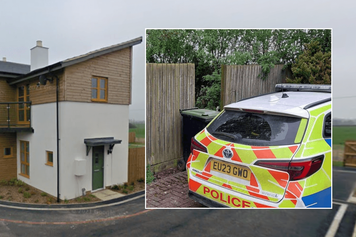 Police rushed to a property in Long Hide, in Leaden Roding; Police car at the scene in Long Hide
