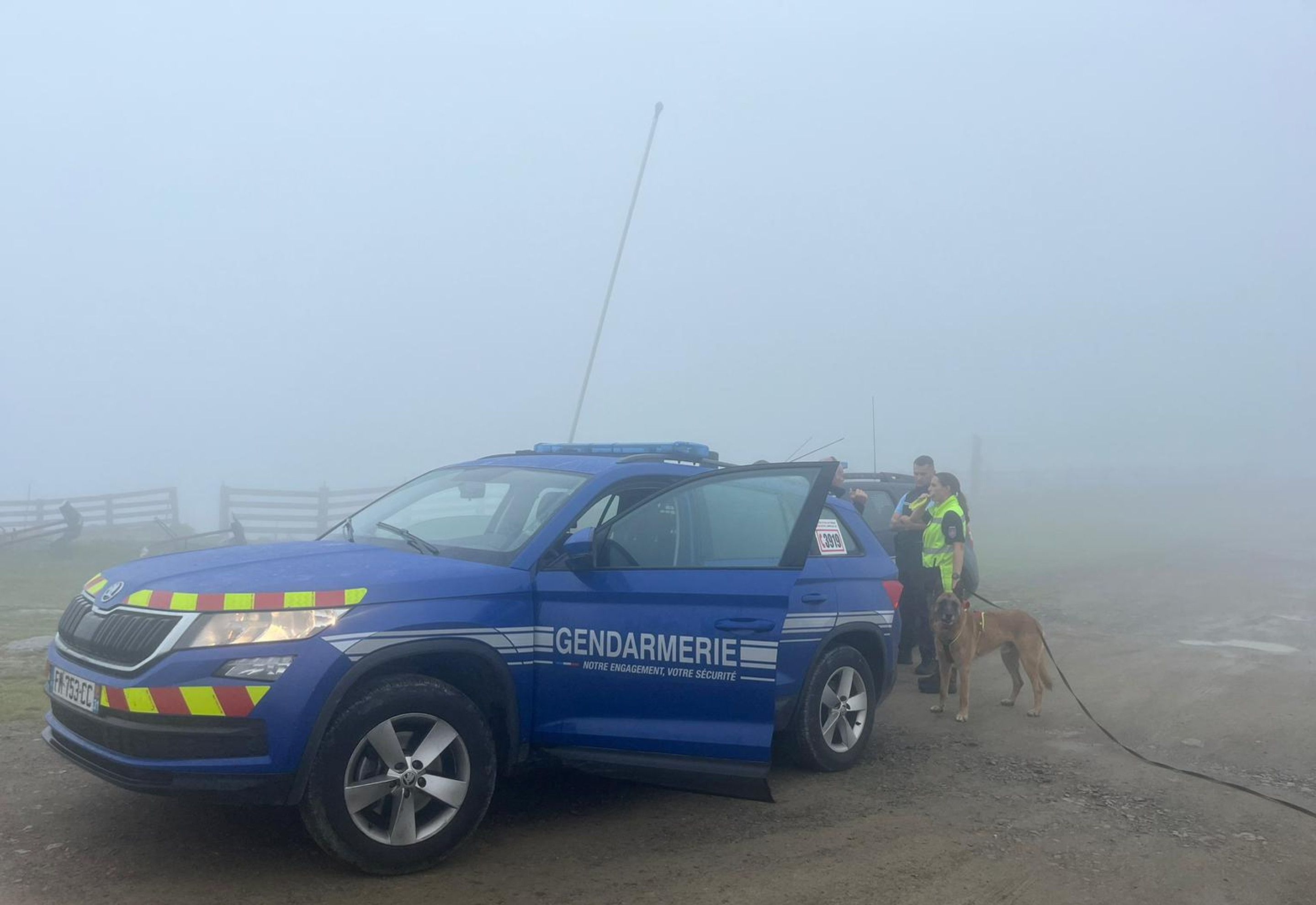 Police searching for a British doctor