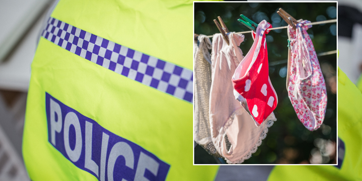NextImg:Police probed 'hate incident' after woman hung dirty underwear on washing line