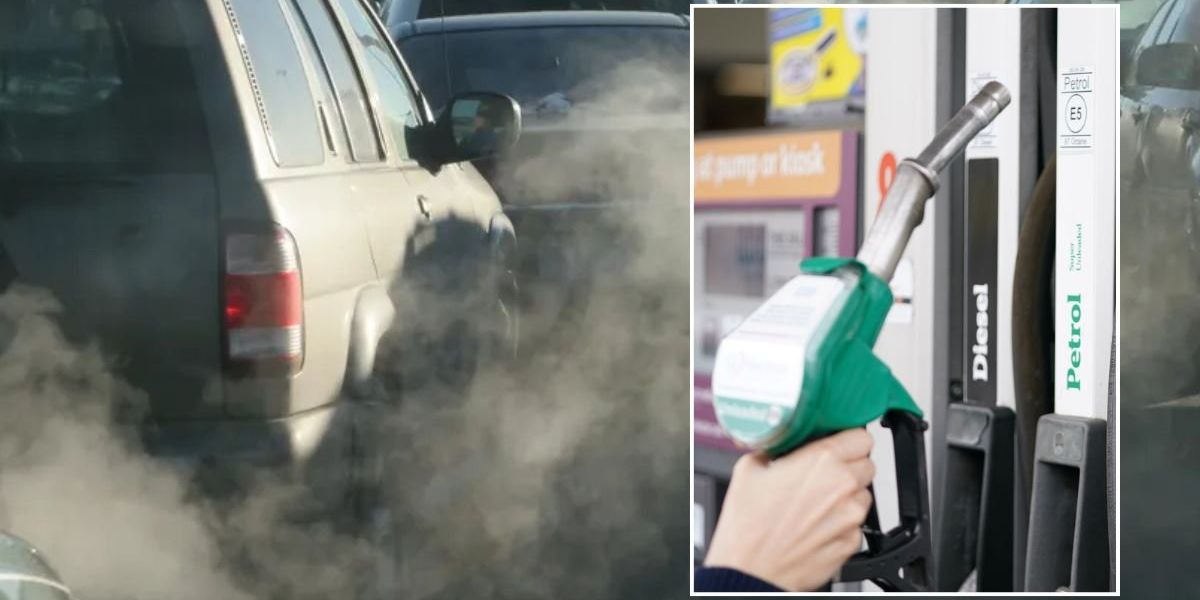Petrol cars on brink of extinction as drivers buy just SEVEN fuel-powered vehicles in January Petrol cars on brink of extinction as drivers buy just SEVEN fuel-powered vehicles in January
