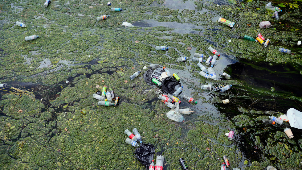 Pollution in the river