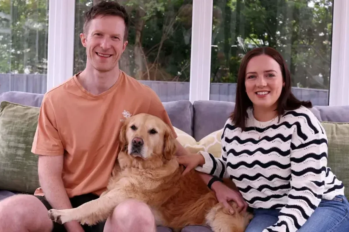 Polly the golden retriever