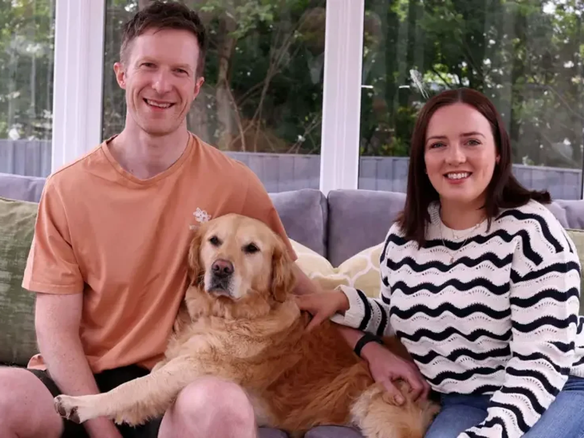 Polly the golden retriever