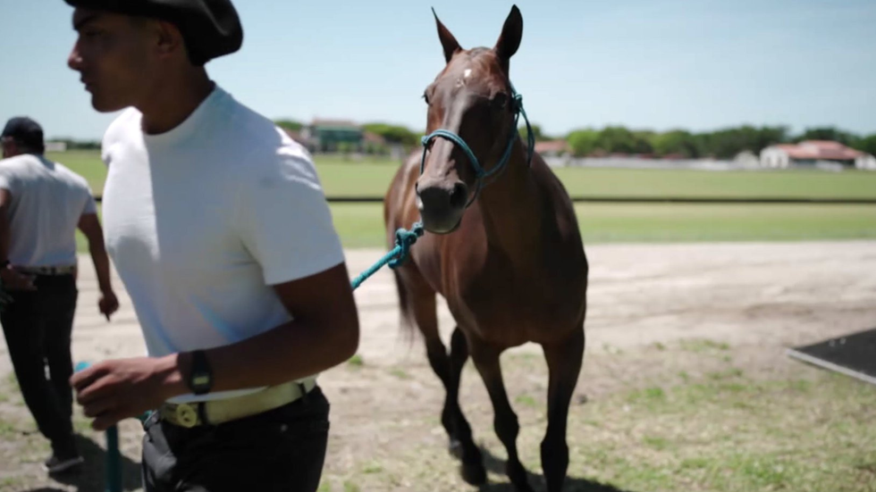 POLO promotional still