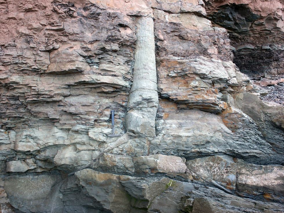 'Polystrate fossils'
