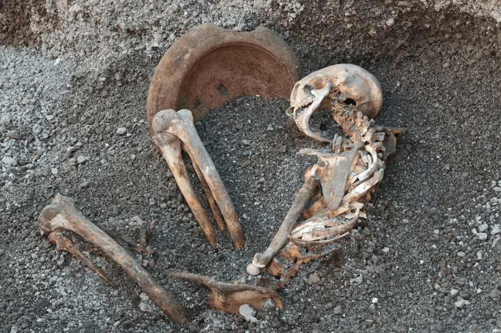 Pompeii skeleton