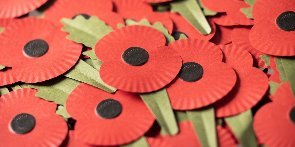 NextImg:POLL OF THE DAY: Do you think the young take pride in wearing the poppy?