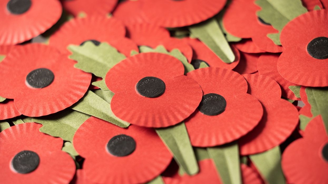 Poppies mark Armistice Day