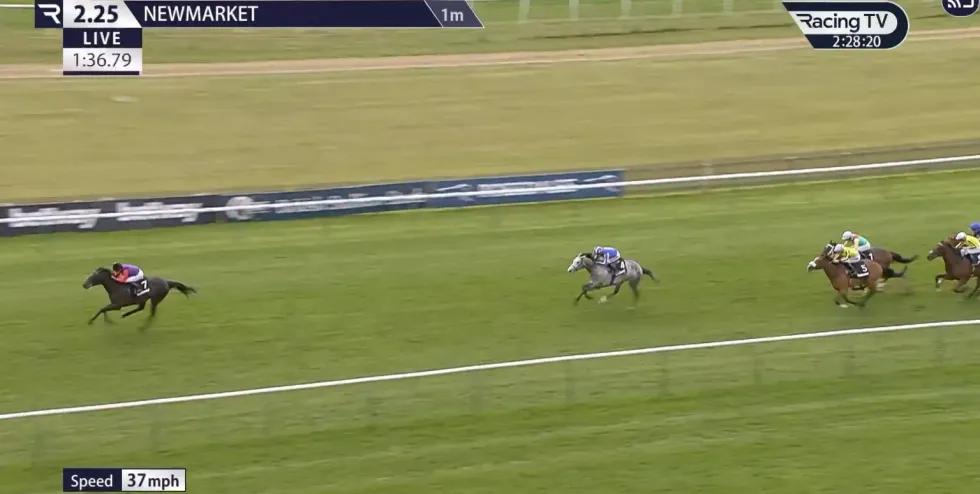 Portcullis picked up pace impressively and moved through the field with remarkable fluency while his nine opponents were being pushed hard by their riders