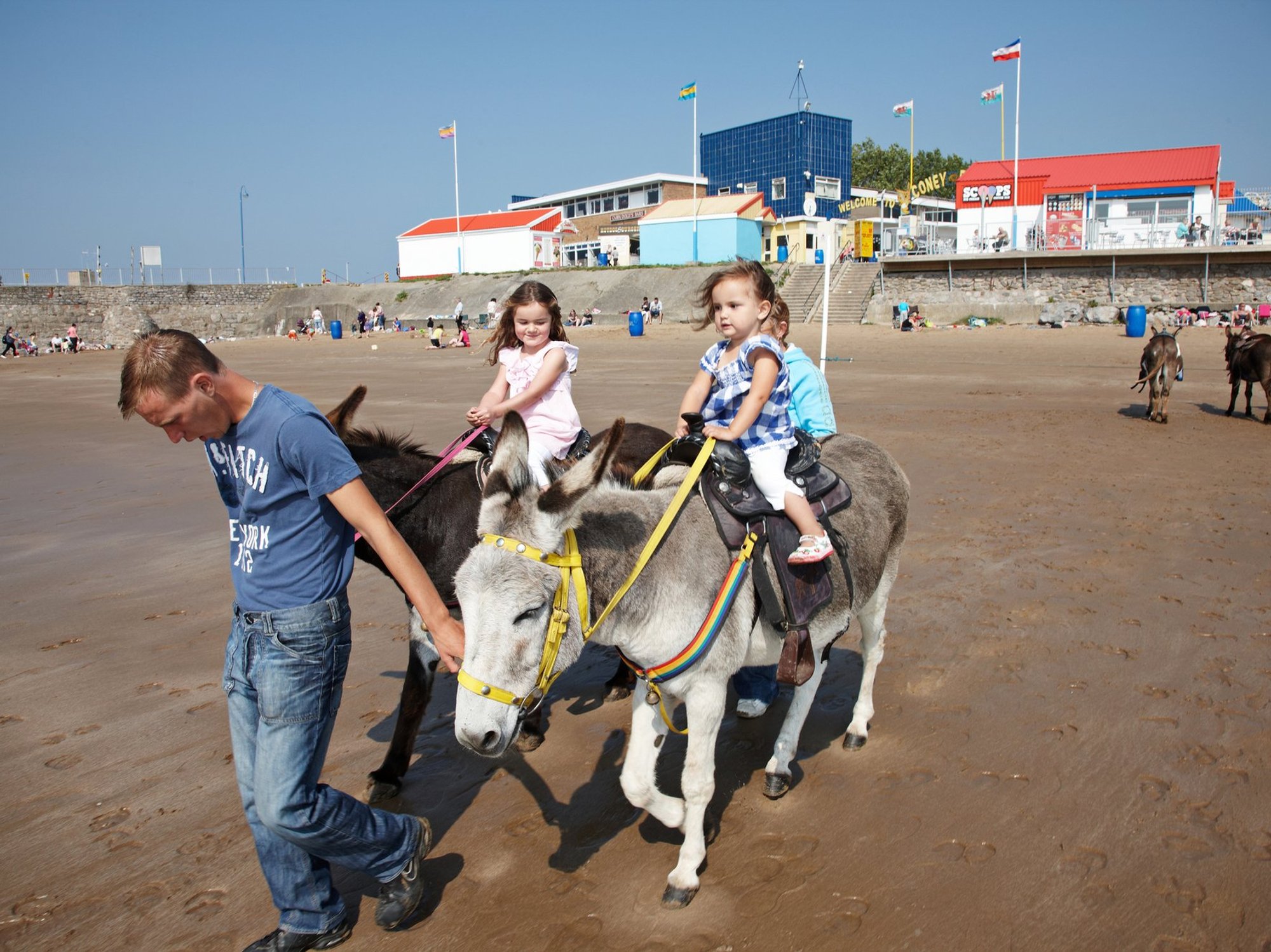 Porthcawl donkey ride