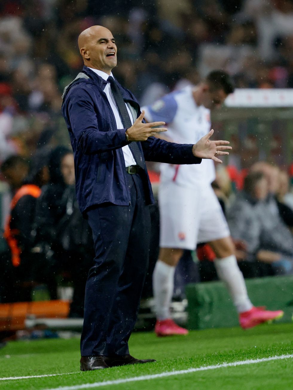 Portugal Roberto Martinez