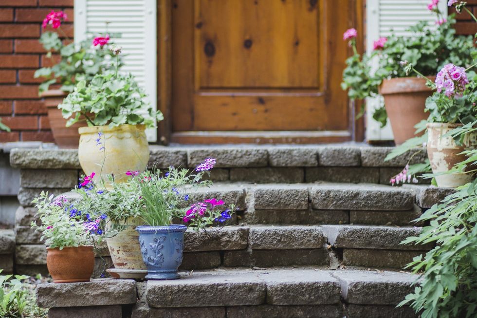Potted plants outside house