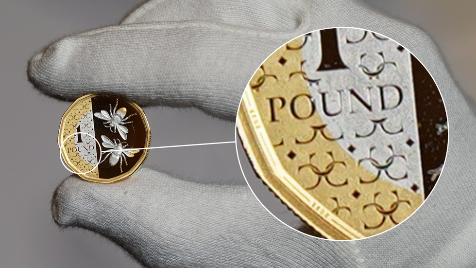 Pound coin closeup