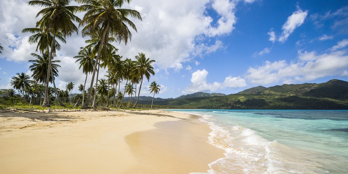 NextImg:Urgent tsunami warning issued after powerful 7.6-magnitude earthquake hits the Caribbean