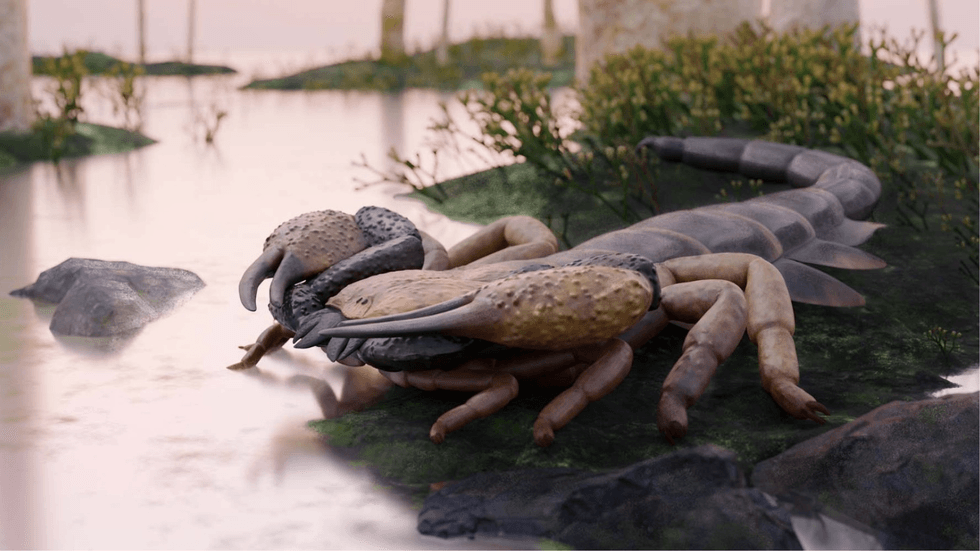 Praearcturus gigas