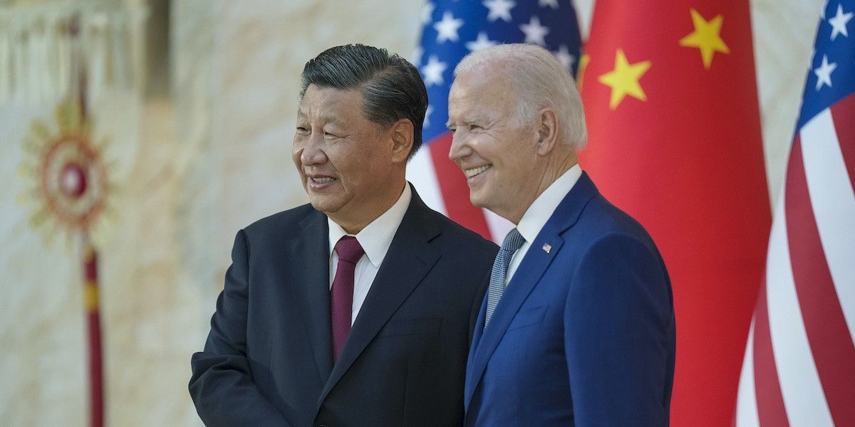 NextImg:Joe Biden's translator set to 'filter' President to hide gaffes during Xi Jinping meeting
