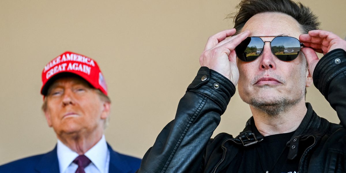 NextImg:Donald Trump confirms he will buy a new Tesla in 'show of support' for Elon Musk as carmaker's shares drop