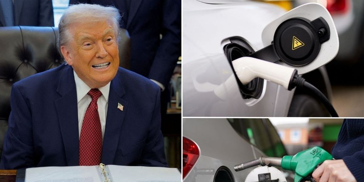 Donald Trump declares war on ‘insane’ electric cars and pledges to ‘kill the green new SCAM!’ Donald Trump declares war on ‘insane’ electric cars and pledges to ‘kill the green new SCAM!’