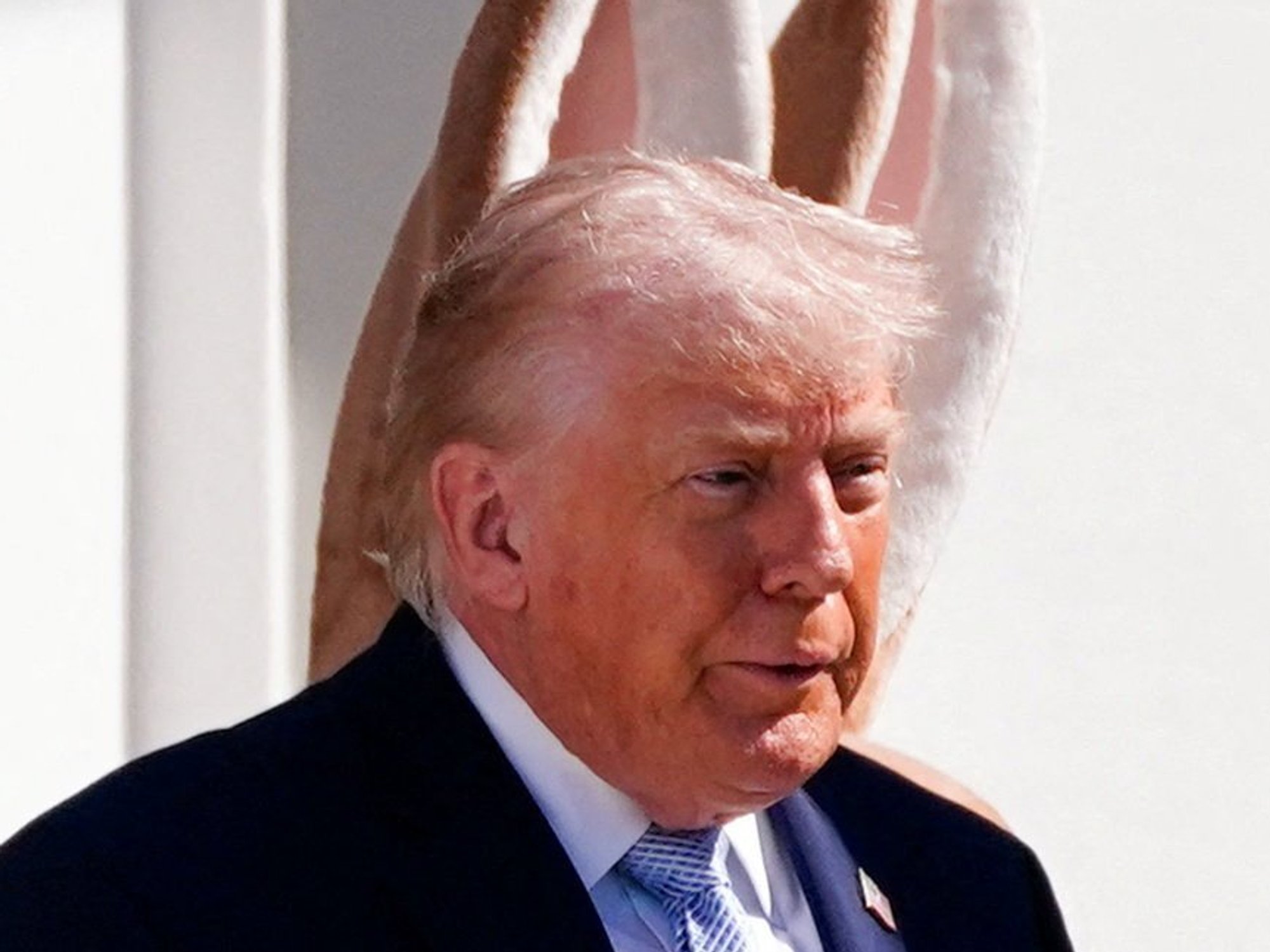 President Donald Trump