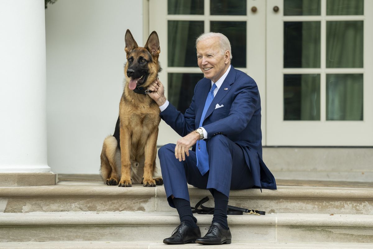 Joe Biden's dog attacks multiple Secret Service agents with officers needing hospital treatment