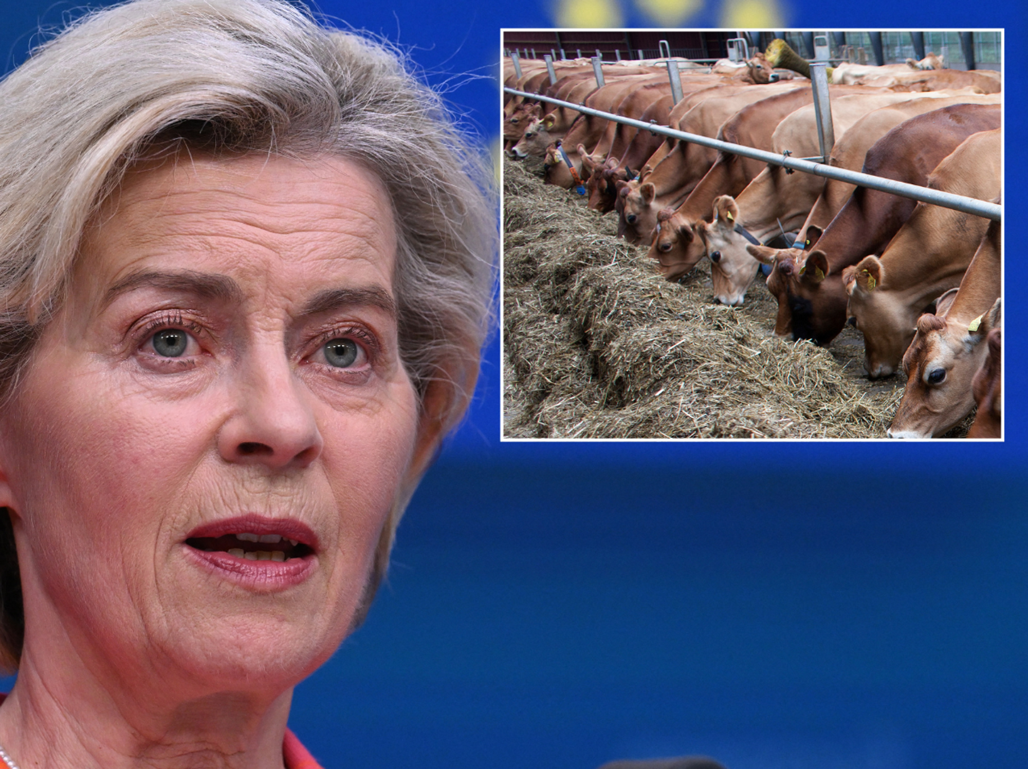 President of the European Commission Ursula von der Leyen